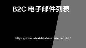 B2C 电子邮件列表